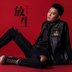 36种标准插法网站
